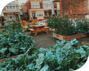 Community Garden