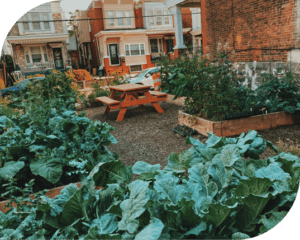 Community Garden